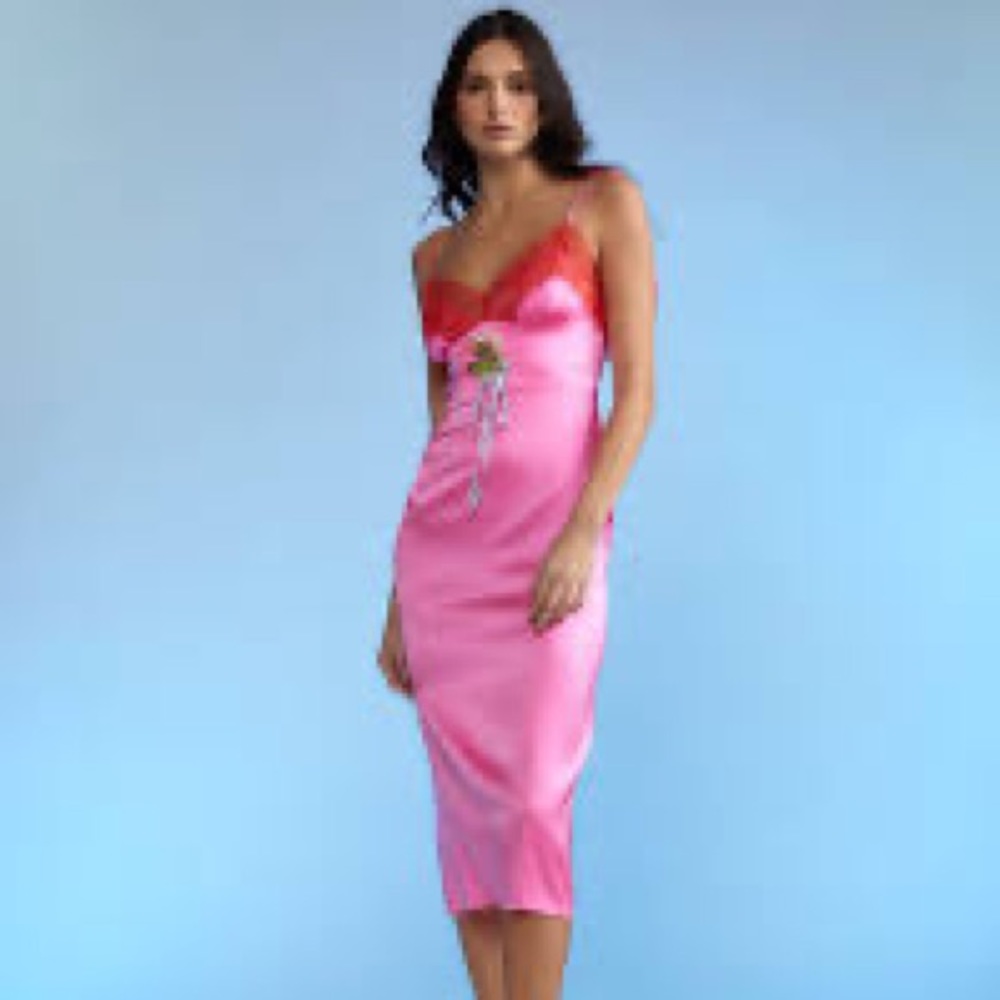 Beautiful Cynthia Rowley “Iris Slip Dress” Size 2, NWOT, Never worn. Gorgeous!
